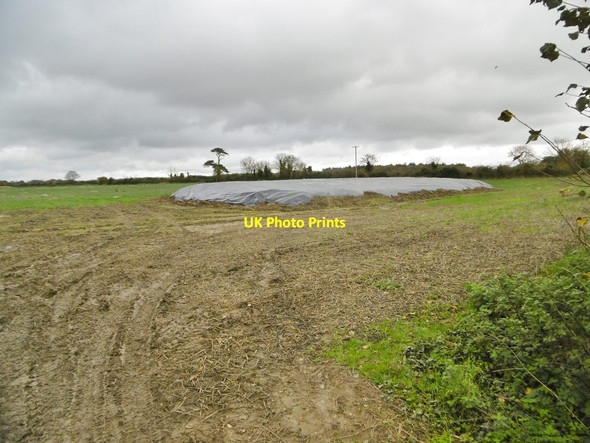 Photo 6"x4" Exbury, clamp Exbury c2015