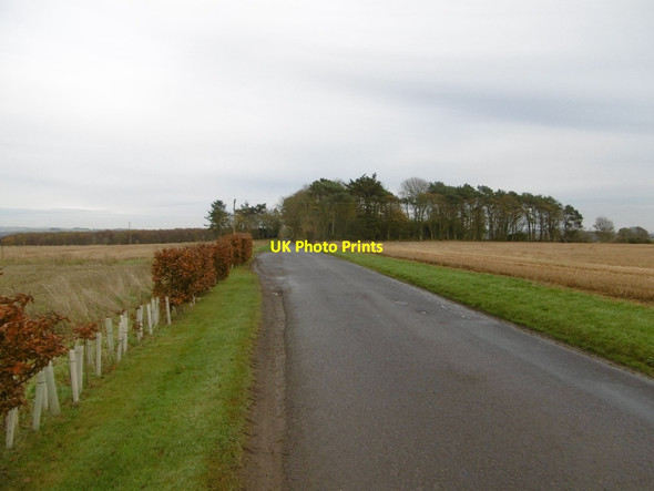 Photo 6"x4" Firth Muir of Boysack Firth Muir of Boysack c2015
