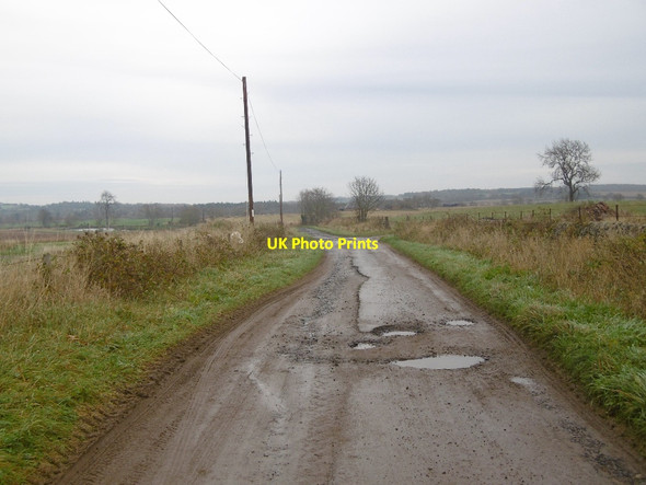 Photo 6"x4" A yellow road? Colliston\/NO6045 c2015