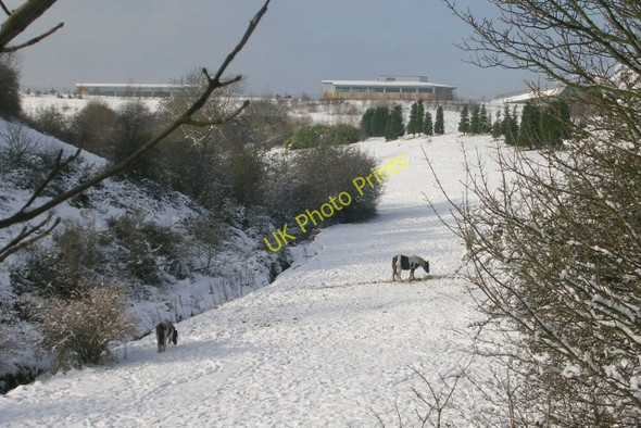 Photo 6"x4" Phoenix Park Golf Course - viewed from Daleside Road Pudsey\/SE2233 c2009