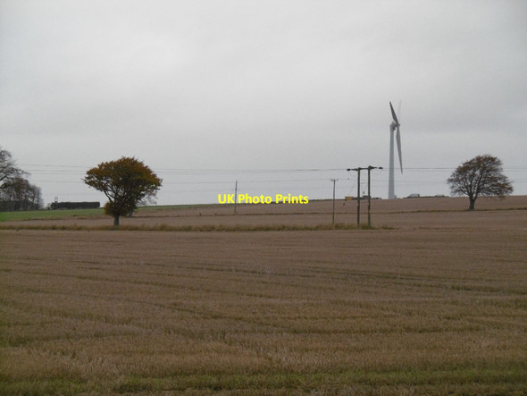 Photo 6"x4" Stubble south of Brechin Brechin c2015