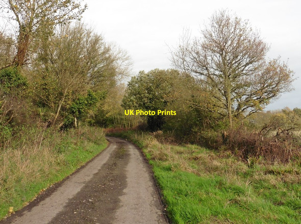 Photo 6"x4" Park Barn Lane Rapps c2015