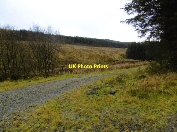 Photo 6"x4" Arklaw Shank Ettrick c2015