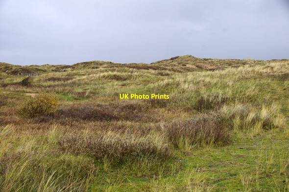 Photo 6"x4" Ainsdale Sand Dunes National Nature Reserve Woodvale c2015