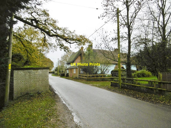 Photo 6"x4" South Gorley, thatched cottages South Gorley c2015