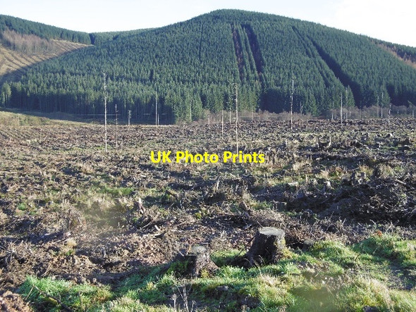 Photo 6"x4" Gatecleuch Hill Ettrick c2015