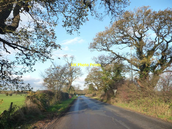 Photo 6"x4" Trees along Scotchman Lane Claxton\/SE6960 c2015