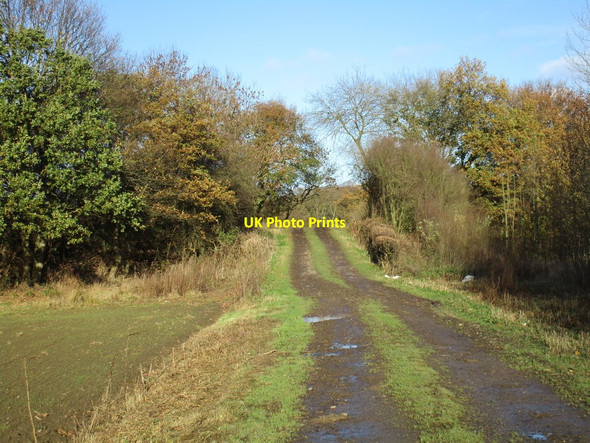Photo 6"x4" Former level crossing Walden Stubbs c2015