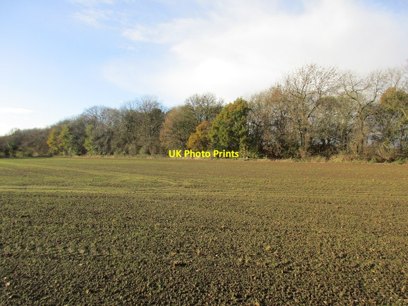 Photo 6"x4" The line of the former Hull and Barnsley Railway Walden Stubbs c2015