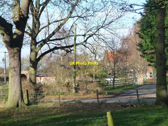 Photo 6"x4" Moorside, Strensall Common Strensall c2015