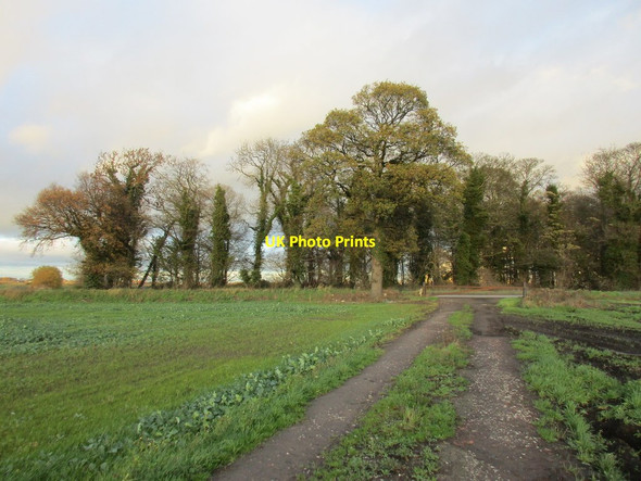 Photo 6"x4" Track approaching Whitefield Lane Whitley Bridge c2015