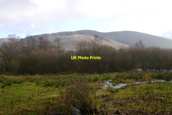 Photo 6"x4" Wetland, Ettrick Ettrick c2015