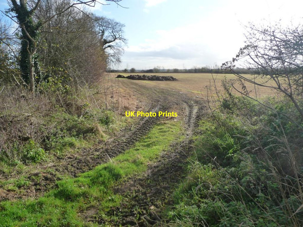 Photo 6"x4" Field entrance near Westleigh West Lilling c2015
