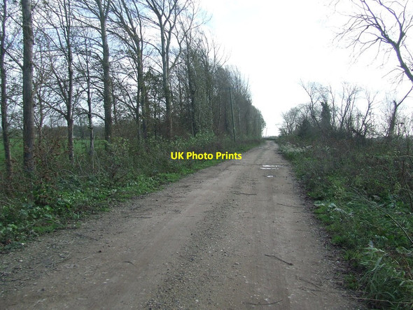 Photo 6"x4" Farm Track And Footpath Lakenheath c2015