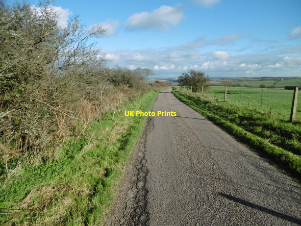 Photo 6"x4" Wynford Eagle, Shatcombe Lane West Compton\/SY5694 c2015