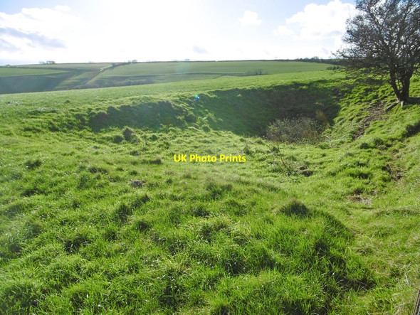 Photo 6"x4" Wynford Eagle, disused chalk pit West Compton\/SY5694 c2015