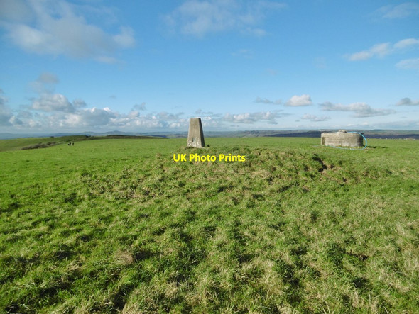Photo 6"x4" Eggardon Hill, trig point West Compton\/SY5694 c2015