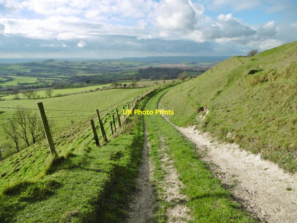 Photo 6"x4" Eggardon Hill, bridleway West Compton\/SY5694 c2015