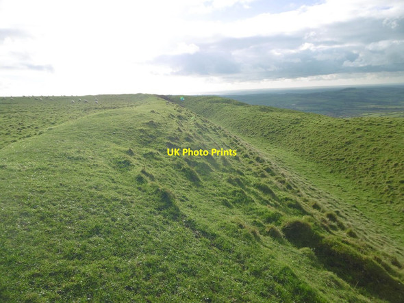 Photo 6"x4" Eggardon Hillfort, inner ditch Spyway c2015