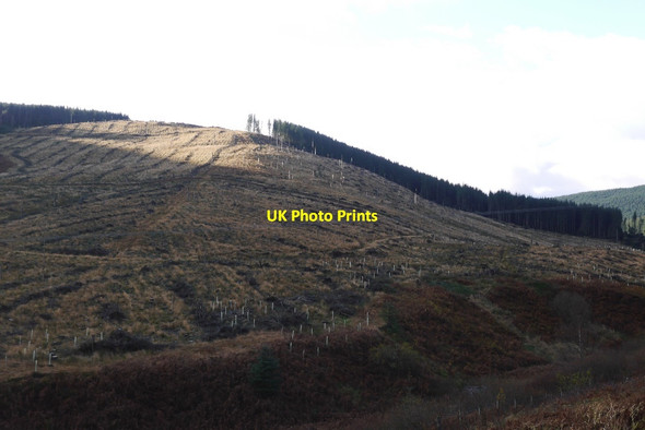 Photo 6"x4" The Shank Tushielaw\/NT3018 c2015