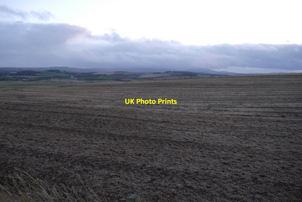 Photo 6"x4" Stubble by Wright Houses North Middleton\/NT3559 c2015