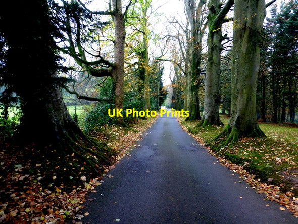 Photo 6"x4" Driveway, Lisnamallard House Omagh c2015