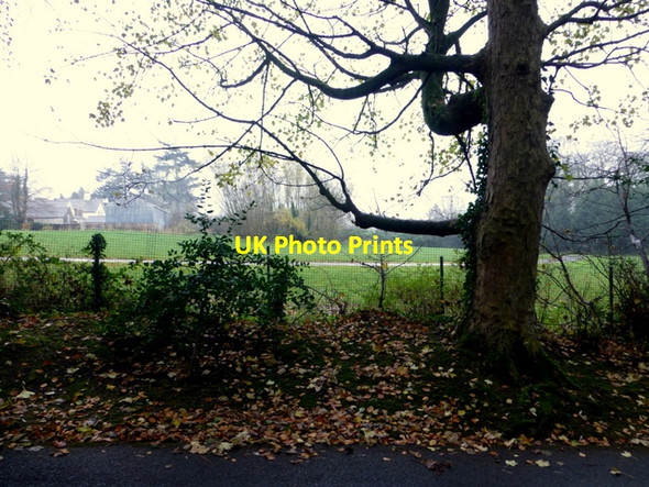 Photo 6"x4" Lisnamallard Townland Omagh c2015