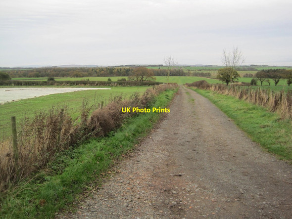 Photo 6"x4" Farm Track into Farmland Near Cockle Park Tritlington c2015