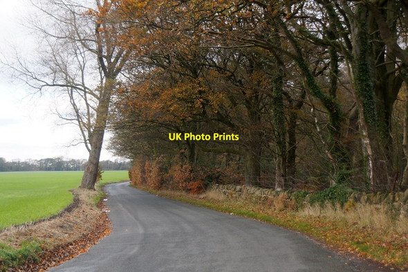 Photo 6"x4" Castle Lane, Westhead Westhead c2015