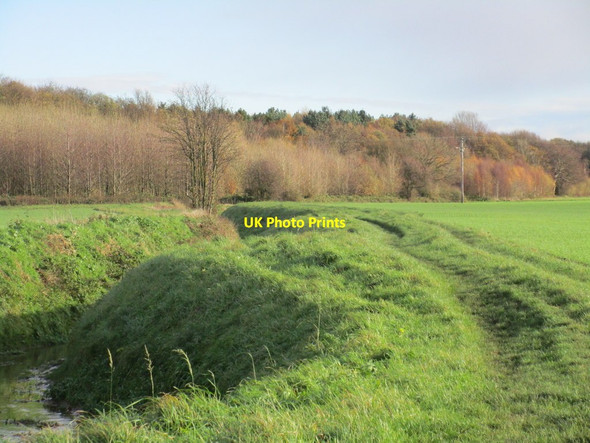 Photo 6"x4" Brown Ings Wood and Womersley Beck Womersley c2015