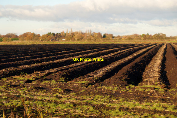 Photo 6"x4" Ploughed field, Mere Lane, Rufford Holmeswood c2015