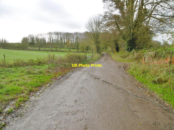 Photo 6"x4" Bradford Peverell, bridleway Bradford Peverell c2015