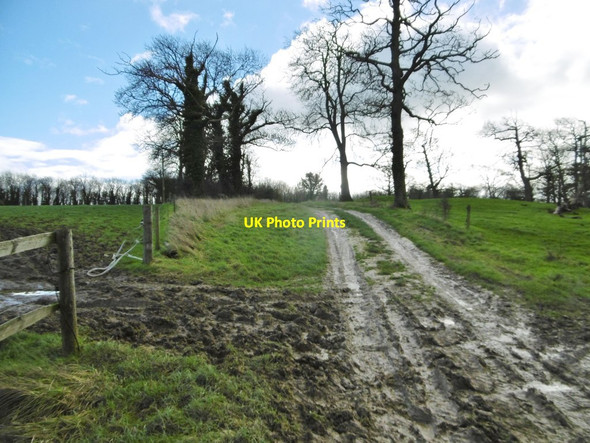 Photo 6"x4" Bradford Peverell, farm track Bradford Peverell c2015