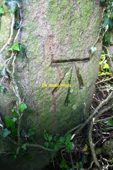 Photo 6"x4" Benchmark on gatepost in roadside hedge near Oxen Close Broughton\/SD9451 c2015