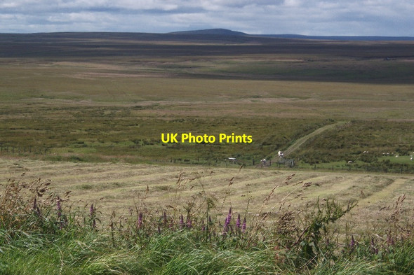 Photo 6"x4" Freshly cut grass, Rangag Hill of Rangag c2015