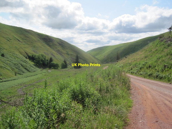 Photo 6"x4" View down Alwin Valley Clennell c2015
