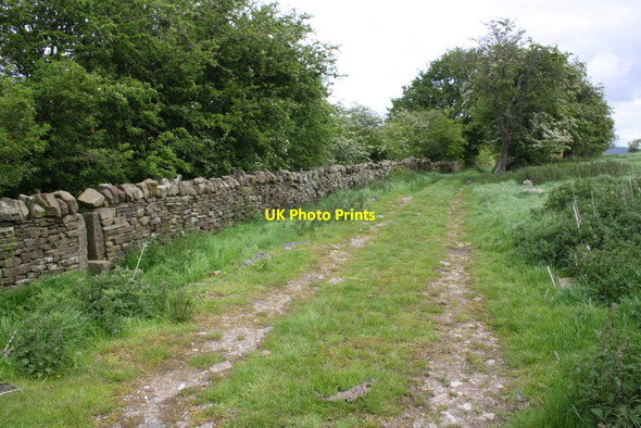 Photo 6"x4" Farm track from Low Ground towards Railway Plantation Broughton\/SD9451 c2015