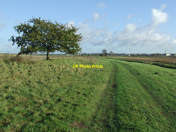 Photo 6"x4" Green Track And Footpath Claypits\/TL7181 c2015