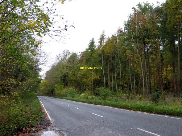 Photo 6"x4" The A4095 to Kirtlington Middleton Stoney c2015