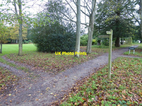 Photo 6"x4" Footpath turns west in the grounds of Tortington Manor Arundel c2015