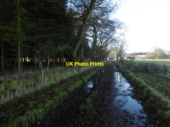 Photo 6"x4" Track, Greigston House Baldinnie c2015