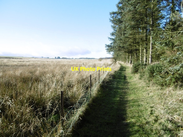 Photo 6"x4" Path around Cameron Reservoir Radernie\/NO4709 c2015