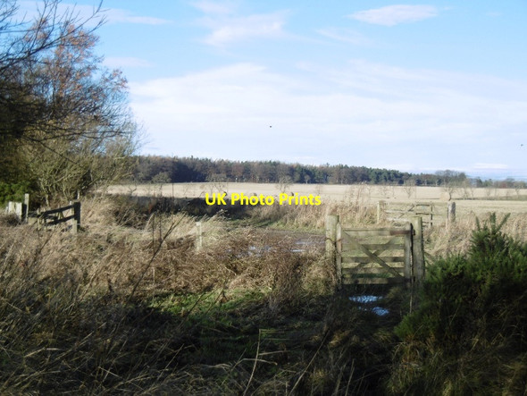 Photo 6"x4" Denhead - Cameron path Denhead\/NO4613 c2015