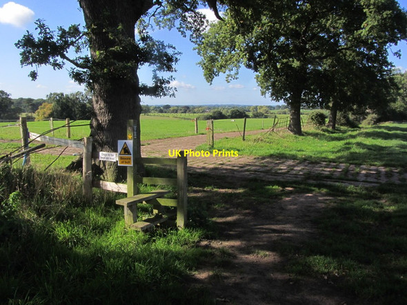 Photo 6"x4" On the S Cheshire Way, SW of Hankelow Hall, Hankelow Hankelow c2015