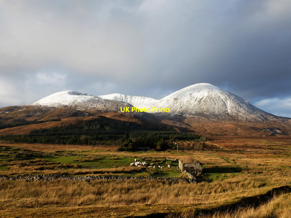 Photo 6"x4" Gathering sheep in Strath Suardal Blackpark\/A' Phairce Dhubh c2015