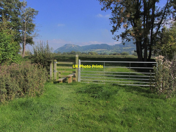 Photo 6"x4" On the Offa's Dyke Path, E of Pool Quay Cefn\/SJ2610 c2015