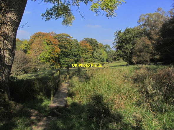 Photo 6"x4" Gritstone Trail near Barleighford Farm near Bosley Rushton Spencer c2015