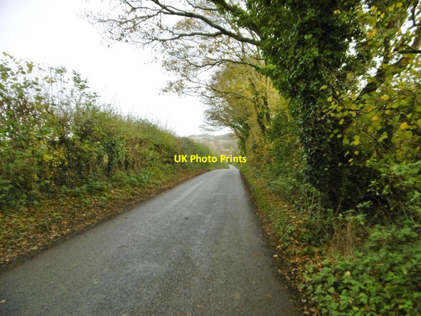 Photo 6"x4" Tarrant Crawford, country road Tarrant Crawford c2015