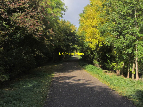 Photo 6"x4" Monsal Trail, S of Little Longstone Great Longstone c2015