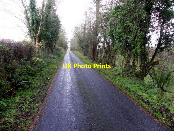 Photo 6"x4" Foxhill Road, Beagh Tempo c2015
